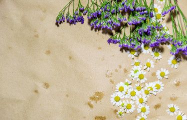 a bunch of wild daisies and purple dried flowers lie on the side of an old yellow paper