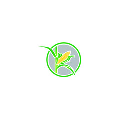 logo corn vector