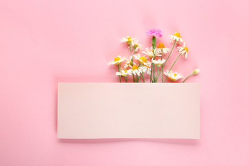Empty card with fresh wild flowers on color background