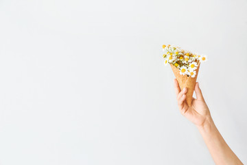 Female hand with chamomile flowers in wafer cone on light background