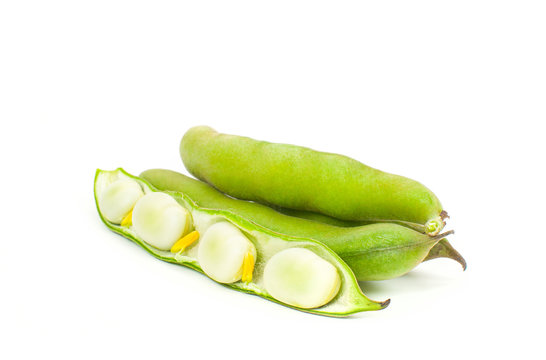 Green Bean. Fresh Lima Beans On White Background