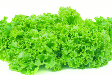Lettuce. Salad leaf. Fresh lettuce leaves on white background