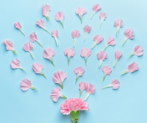 Obraz na płótnie Canvas Beautiful flower composition on color background