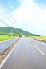 Fototapeta na wymiar 石垣島　風景