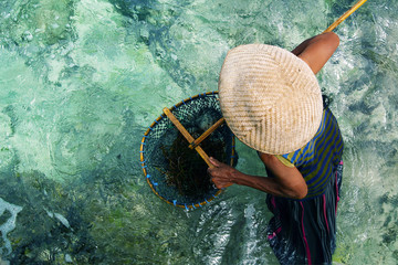 farmer harvesting sea weed in the sea with landing net - obrazy, fototapety, plakaty