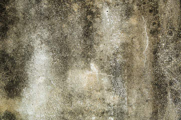 mildewed wall background