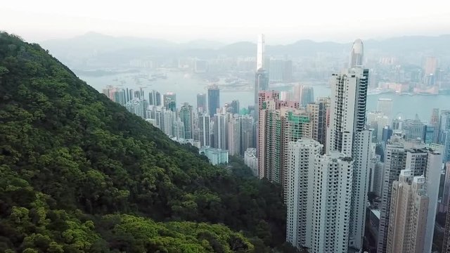Aerial: Green Trees Sloping Down to Hong Kong City Skyscrapers and Victoria Harbor