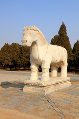 Fototapeta na wymiar Chinese ancient horse sculptures