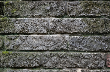 rough stone brick wall with lichen and moss