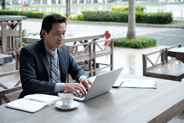 Fototapeta na wymiar Serious mature Vietnamese businessman working on laptop at table in outdoor cafe