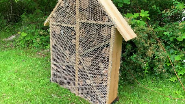A manmade insect hotel offering a house for bugs and insects in the nature. Standing on a green lawn with some greenery around it