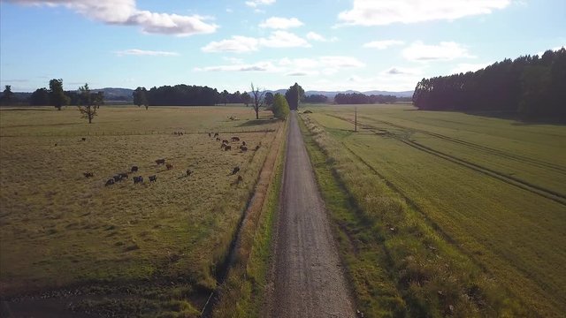 Drone fly over a potato farm, on Temuco, chile