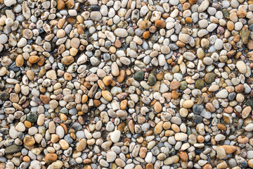 Pebble texture background.