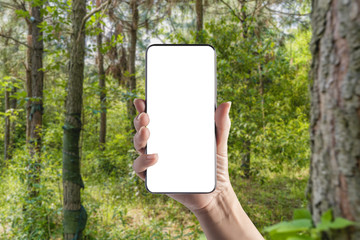 Hand-held mobile phone in the woods