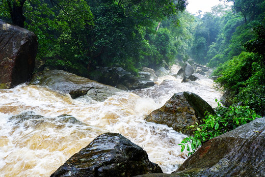 Water flood on river after heavy rain rapids water flow copiously from mountain stream