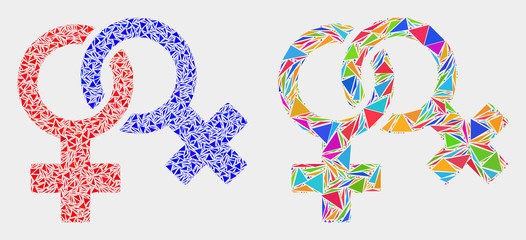 Lesbian symbol mosaic icon of triangle items which have different sizes and shapes and colors. Geometric abstract vector design concept of lesbian symbol.