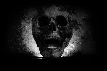 Human Skull head on blur dark black background - Old scary grunge skull vintage style