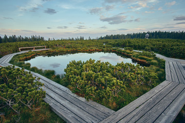 Fototapeta premium wooden path at Lovrenska lakes with the tower in the background - Slovenia