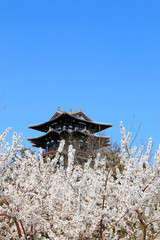 Park building scenery