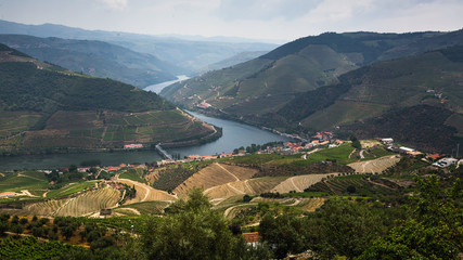 Fototapeta na wymiar Panoramic view of the Douro valley with vineyards in the hills, Porto, Portugal.