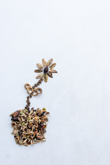 Aus Blumensamen gelegte Blume im Blumentopf arrangiert zeigt die Vielfalt der Blumen und Blüten sowie die Liebe zu Natur, Gärtnerei und Blumen