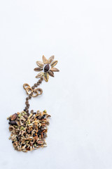 Aus Blumensamen gelegte Blume im Blumentopf arrangiert zeigt die Vielfalt der Blumen und Blüten sowie die Liebe zu Natur, Gärtnerei und Blumen