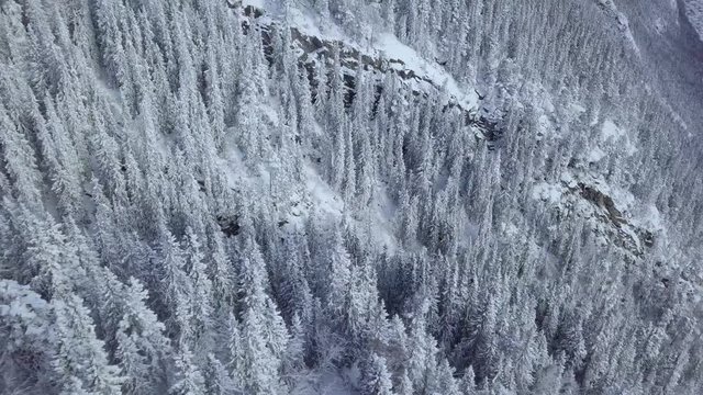 Gliding drone shot of mountainous arctic forest in snow (northern Norway).
