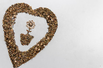 Aus Blumensamen gelegter Blumentopf mit Blume wird umschlossen von einem Herz aus Bumensaat zum Ausdruck von Liebe zu Natur, Blumen und Gärtnerei