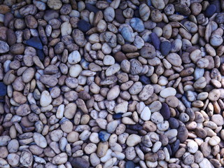 pebbles on the beach nature background