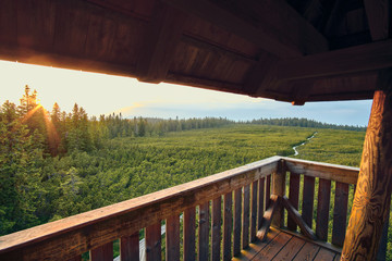 a view of Lovrenska lakes from the wooden tower - Slovenia