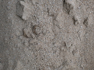 sand background, closeup sand beach