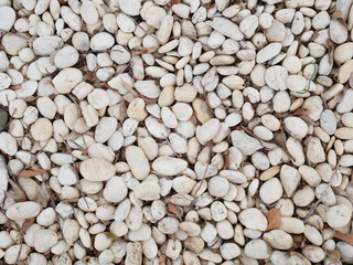 white pebble stone garden nature background