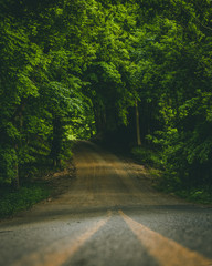 Fototapeta premium country road