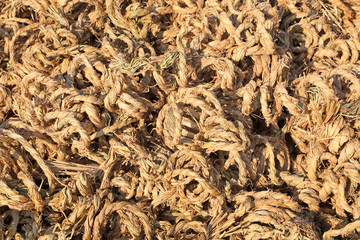 straw ropes stacked together