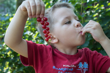 a beautiful baby boy eating a red berry in the garden