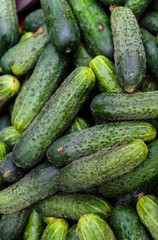 Fresh, green cucumbers in a wooden box in the store.