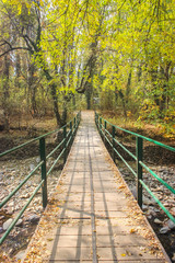 A narrow wooden foot bridge crossing a small stream in a forest area in Dachigam National Park, Srinagar Kashmir