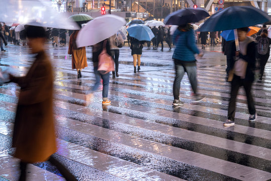 384 Best Shibuya Crossing Rain Images Stock Photos Vectors Adobe Stock