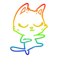 rainbow gradient line drawing calm cartoon cat