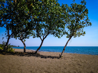 Warm Atmosphere On Tropical Beach Trees On A Sunny Day In The Dry Season At The Village, Seririt, North Bali, Indonesia