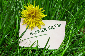 Summer break