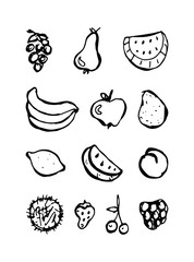 Set of hand drawn doodle fruits. black and white vector linear illustration isolated