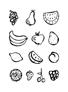 Set of hand drawn doodle fruits. black and white vector linear illustration isolated