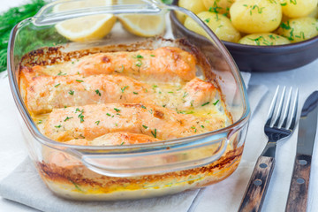 Baked in creamy sauce salmon in  glass baking dish, horizontal