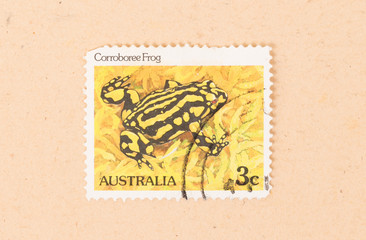 AUSTRALIA - CIRCA 1980: A stamp printed in Australia shows a corroboree frog, circa 1980