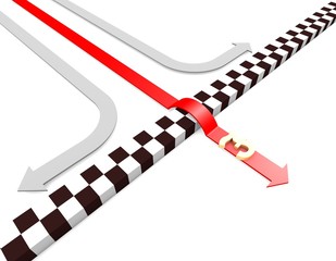 Red arrow for career success, different arrows,pound