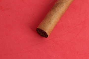 Tobacco Cigars Studio Photo known also as Cigarrets