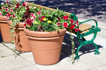 Fototapeta na wymiar Large flower pots and a park bench on a street corner