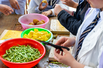 Group of young students cutting vegetables such as Potatoes and Beans into pieces