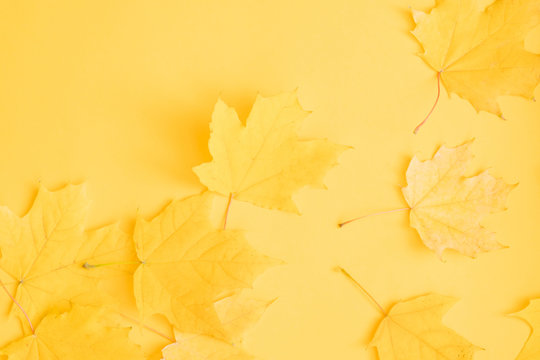 Autumn nature background. Fall yellow maple leaves over orange surface. Copy space.